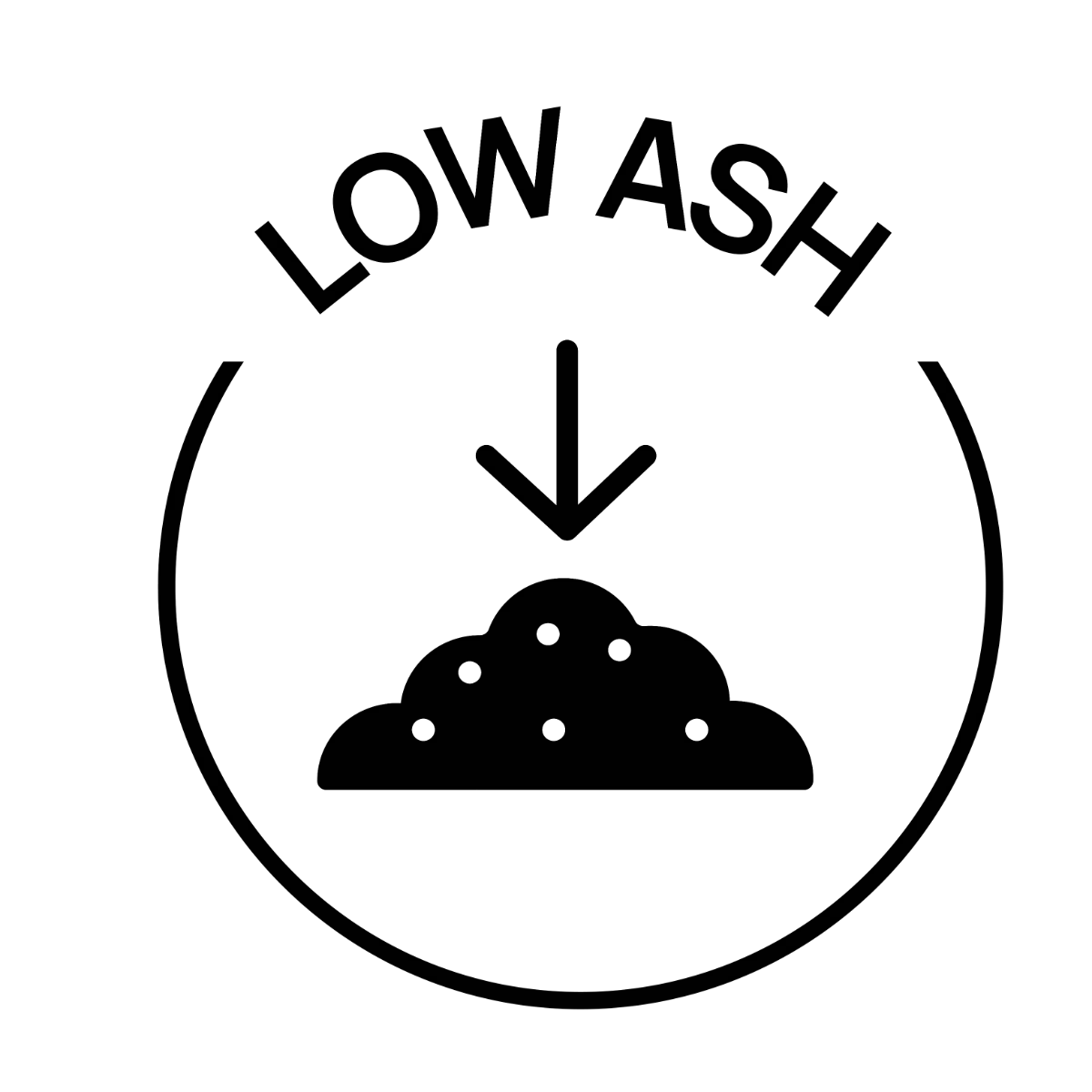 ICON-06
